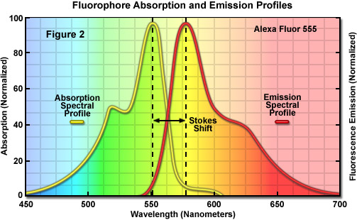Oil Fluorescence Chart