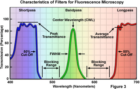 Oil Fluorescence Color Chart