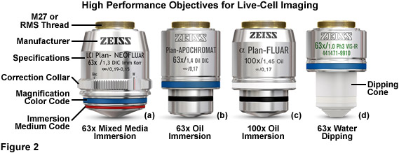 What is the function of an oil immersion objective?