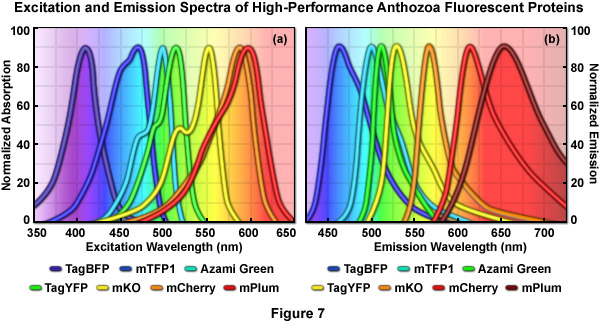 Gfp Emission