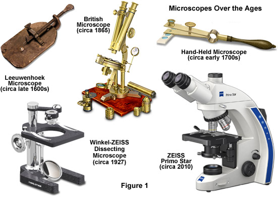 medical microscopes used