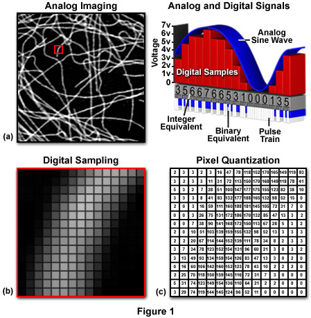 Tiny mirrors enable MEANS microscopy