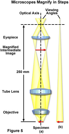 ZEISS Microscopy Online Campus, Microscopy Basics