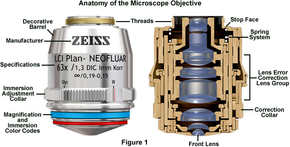 Description Of An Objective Lens