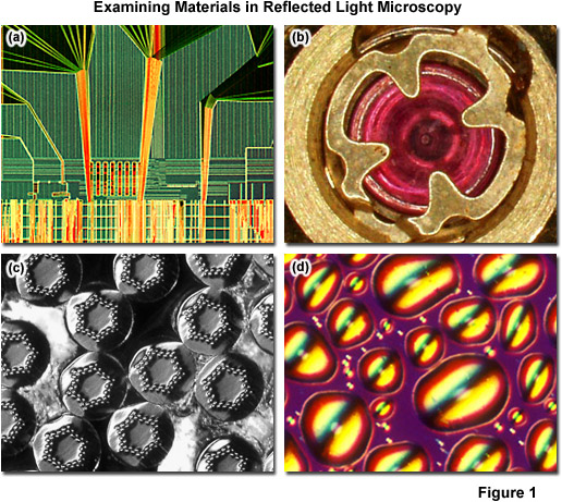 very nice Commerce swear ZEISS Microscopy Online Campus | Microscopy Basics | Reflected Light  Microscopy