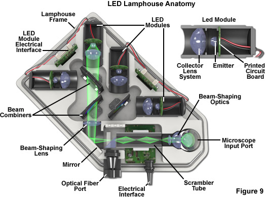 ZEISS Microscopy Online Campus Light Emitting Diodes